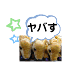 たけしのスタンプ その32（個別スタンプ：12）