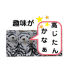 たけしのスタンプ その32（個別スタンプ：13）
