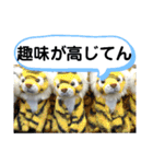 たけしのスタンプ その32（個別スタンプ：14）