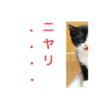 たけしのスタンプ その32（個別スタンプ：18）