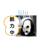たけしのスタンプ その32（個別スタンプ：19）