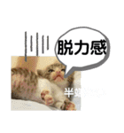 たけしのスタンプ その32（個別スタンプ：20）