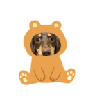 chacomaro（個別スタンプ：8）