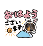 chacomaro（個別スタンプ：9）