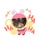 chacomaro（個別スタンプ：15）