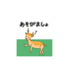 世界の動物スタンプ（個別スタンプ：30）