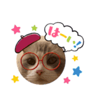 まいにちねこのひ（個別スタンプ：2）