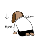 ドクタースチューデント（個別スタンプ：14）