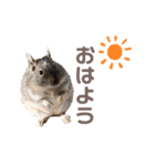 むぎとはくのすたんぷ（個別スタンプ：1）