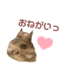 むぎとはくのすたんぷ（個別スタンプ：12）