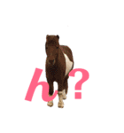 動物たちの日常ʕ•ᴥ•ʔ（個別スタンプ：10）