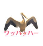 動物たちの日常ʕ•ᴥ•ʔ（個別スタンプ：15）