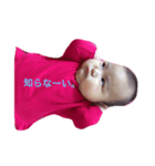 りりたんすたんぷ（個別スタンプ：1）