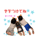 Ayumu Life（個別スタンプ：25）