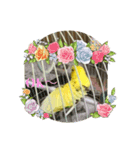 セキセイインコのスタンプ その4（個別スタンプ：8）