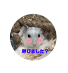 ハムスターふくまる（個別スタンプ：3）