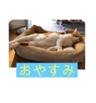 ゆずの日常風景2（個別スタンプ：2）