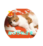 ゆずの日常風景2（個別スタンプ：3）