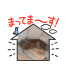 ゆずの日常風景2（個別スタンプ：4）