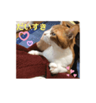 ゆずの日常風景2（個別スタンプ：5）