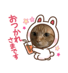 池田家の猫たち3（個別スタンプ：6）