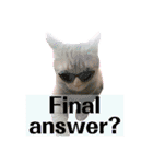 池田家の猫たち3（個別スタンプ：7）