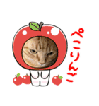 池田家の猫たち3（個別スタンプ：14）