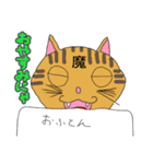 猫探偵さんしろう（個別スタンプ：12）