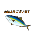 お魚大家族！（個別スタンプ：1）