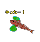 お魚大家族！（個別スタンプ：17）