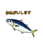 お魚大家族！（個別スタンプ：21）