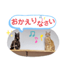 5匹の北九州猫（敬語編）（個別スタンプ：24）