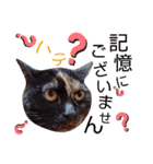 5匹の北九州猫（敬語編）（個別スタンプ：32）