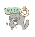 猫、ぶりおスタンプ（個別スタンプ：3）