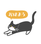 いえねこ詰め合わせ（個別スタンプ：3）