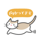 いえねこ詰め合わせ（個別スタンプ：13）