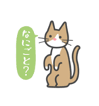 いえねこ詰め合わせ（個別スタンプ：20）