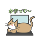 いえねこ詰め合わせ（個別スタンプ：28）