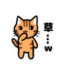 ゆるかわ☆トラ猫（個別スタンプ：11）