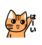 ゆるかわ☆トラ猫（個別スタンプ：16）