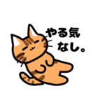 ゆるかわ☆トラ猫（個別スタンプ：37）