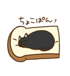 白黒すいすぱにゃんこの日常2（個別スタンプ：13）