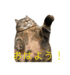 こたまさんの日常2（個別スタンプ：6）