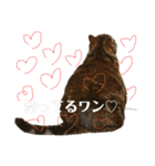 こたまさんの日常2（個別スタンプ：11）
