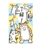 Cats freedom  関西弁ビックスタンプ（個別スタンプ：1）