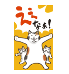 Cats freedom  関西弁ビックスタンプ（個別スタンプ：3）