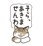 Cats freedom  関西弁ビックスタンプ（個別スタンプ：26）