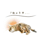 MILK kagisippocat 3（個別スタンプ：2）