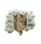 MILK kagisippocat 3（個別スタンプ：5）
