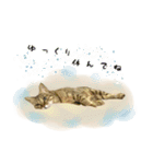 MILK kagisippocat 3（個別スタンプ：7）